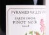 (2) 2008 Pyramid Valley Vineyards Earth Smoke Pinot Noir, Waikari - 3
