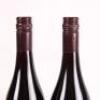 (2) 2014 Pyramid Valley Vineyards Angel Flower Pinot Noir, Waikari - 5