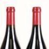 (2) 2013 Chateau de Beaucastel Hommage a Jacques Perrin Chateauneuf du Pape - 6