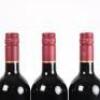 (3) 2013 Ata Rangi Celebre, Martinborough - 5
