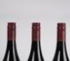 (3) 2017 Valli Pinot Noir, Gibbston - 4