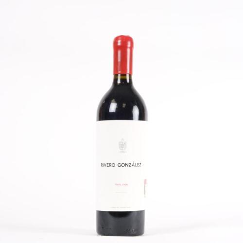 (1) 2008 Rivero Gonzalez Tinto (Merlot/Cabernet Sauvignon/Franc), Parras Valley Mexico