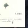 (1) 2006 Puriri Hills Reserve 6 litre, Clevedon - 5