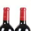 (2) 2013 Te Mata Estate Awatea, Hawkes Bay - 5