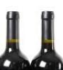 (6) 2017 Turanga Creek Les Vendanges Merlot, Hawkes Bay - 5