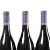 (3) 2017 Rippon Mature Vine Pinot Noir, Wanaka - 8