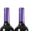 (2) 2016 Te Motu Cabernet Sauvignon/Merlot, Waiheke - 5