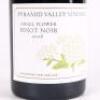 (1) 2006 Pyramid Valley Vineyards Angel Flower Pinot Noir, Waikari - 2