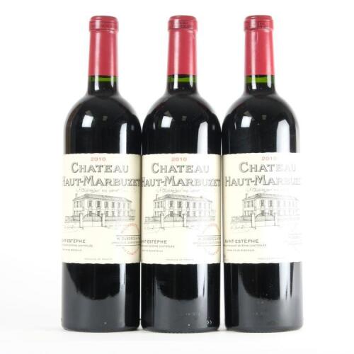 (3) 2010 Chateau Haut-Marbuzet, St Estephe