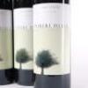(6) 2007 Puriri Hills Estate, Clevedon - 2