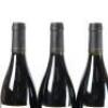 (3) 2010 Te Whau Syrah, Waiheke - 5