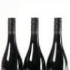 (3) 2017 Man o' War Dreadnought Syrah, Waiheke - 5