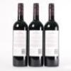(3) 2013 Newton Forrest Cornerstone, Gimblett Gravels - 3