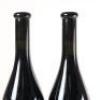 (2) 2010 Dry River Pinot Noir, Martinborough - 6