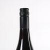 (1) 2016 Mammoth Pinot Noir, Nelson - 6