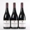 (3) 2010 Valli Pinot Noir, Gibbston