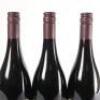 (3) 2010 Valli Pinot Noir, Gibbston - 5