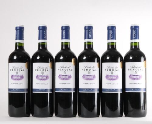 (6) 2011 Bodegas Isidro Milagro 'Senorio del Fenojal' Tempranillo, Rioja
