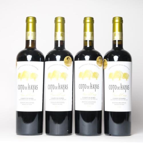 (4) 2012 Bodegas Aragonesas Coto de Hayas Vinas del Cierzo, Campo de Borja