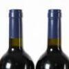 (12) 2010 Stonyridge Vineyard Larose, Waiheke - 9