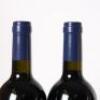 (12) 2010 Stonyridge Vineyard Larose, Waiheke - 11