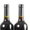 (6) 2017 Turanga Creek Les Vendanges Merlot, Hawkes Bay - 7