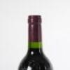 (1) 1995 Bodegas Vega-Sicilia &Uacute;nico, Ribera del Duero - 5