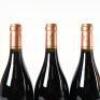 (3) 2018 Les Parcellaires de Saulx Chapelle Chambertin Grand Cru, Cote de Nuits - 5
