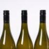 (3) 2016 Duckpoint Chardonnay, Hawkes Bay - 5