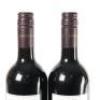 (2) 2006 Newton Forrest Cornerstone, Gimblett Gravels - 5