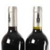 (2) 2015 Poderi Crisci Viburno, Waiheke - 5
