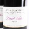(3) 2010 Ata Rangi Pinot Noir, Martinborough - 2