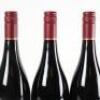 (3) 2010 Ata Rangi Pinot Noir, Martinborough - 5