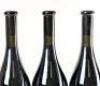 (3) 2021 Dry River Pinot Noir, Martinborough - 5