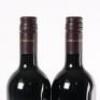 (2) 2011 Newton-Forrest Wines Cornerstone, Hawkes Bay - 5