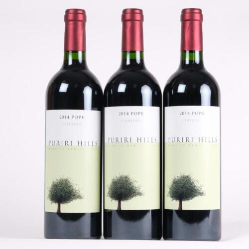 (3) 2014 Puriri Hills Pope, Clevedon