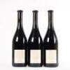 (3) 2016 Dry River Pinot Noir, Martinborough - 3