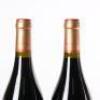 (2) 2014 Sacred Hill Deerstalkers Syrah, Hawke's Bay - 5