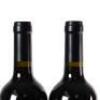 (6) 2017 Turanga Creek Les Vendanges Merlot, Hawkes Bay - 6