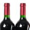 (2) 2014 Puriri Hills Pope, Clevedon - 5