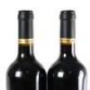 (2) 2016 Babich The Patriarch, Gimblett Gravels - 6