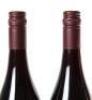(2) 2011 Pyramid Valley Vineyards Angel Flower Pinot Noir, Waikari - 6