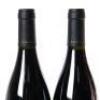 (2) 2010 Te Whau Syrah, Waiheke - 5