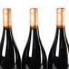 (3) 2015 Sacred Hill Deerstalkers Syrah, Hawkes Bay - 5