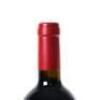 (1) 2007 Masseto Tenuta dell'Ornellaia, Bolgheri - 5
