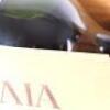 (1) 1999 Tenuta San Guido Sassicaia 6000ml, Bolgheri - 15