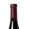(1) 2007 Chateau de Beaucastel Chateauneuf du Pape Hommage &agrave; Jacques Perrin - 6