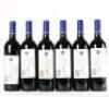 (6) 2013 Stonyridge Vineyard Larose, Waiheke - 3