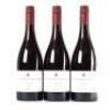 (3) 2020 High Garden Vineyard Pinot Noir, Gibbston