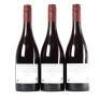 (3) 2020 High Garden Vineyard Pinot Noir, Gibbston - 3